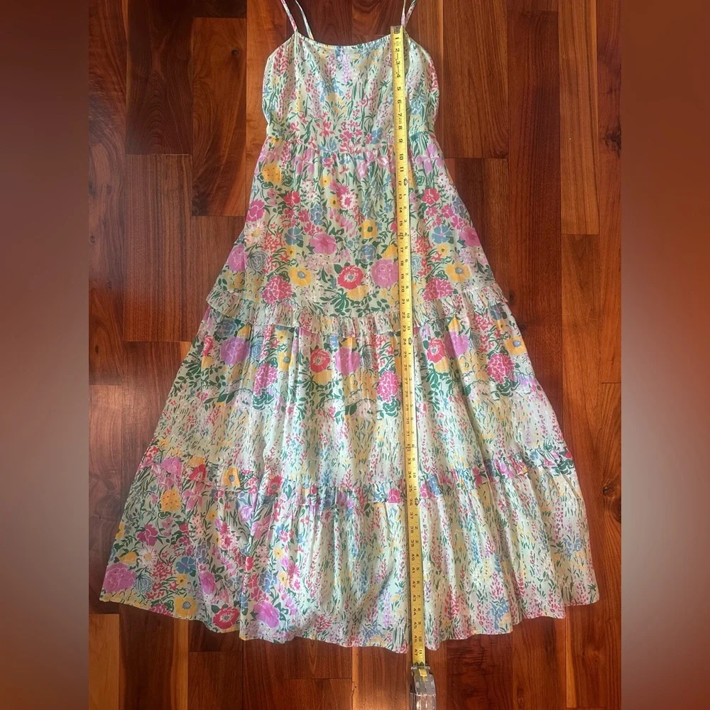 Banjanan Hazel Sleeveless Tiered Maxi Dress in Dawn Chorus Pistachio Green; XS - Picture 12 of 15